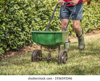 Man Fertilizing And Seeding Residential Lawn With Manual Grass Seed Spreader.