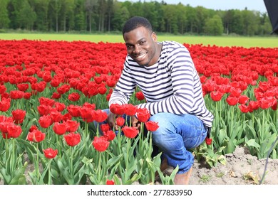 Man in a field