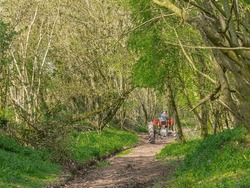 Man In Flat Cap And Overalls Driving An Old Fashioned Red Tractor Down A Rural Woodland Track In Springtime In Warm Sunlight