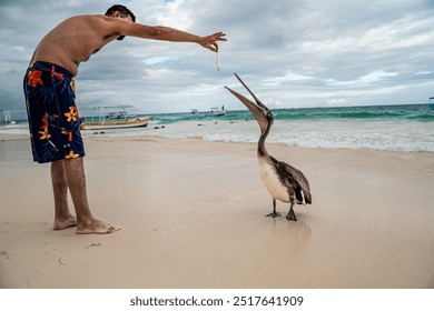 Man in floral shorts feeds a pelican on a sandy beach with turquoise waters and boats in the background, showcasing a moment of human-animal interaction. - Powered by Shutterstock