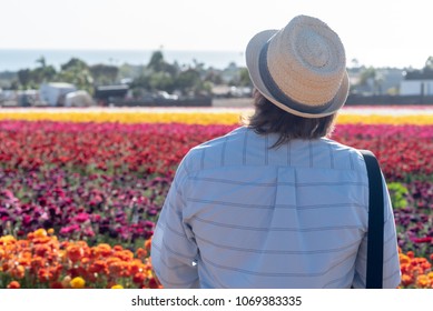 Man in the flower field