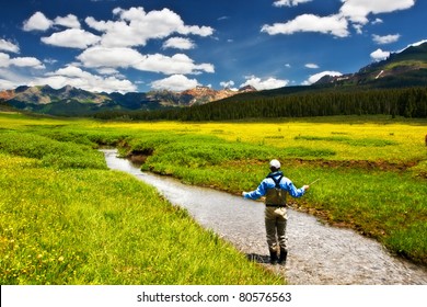 A Man Fly Fishing In Colorado