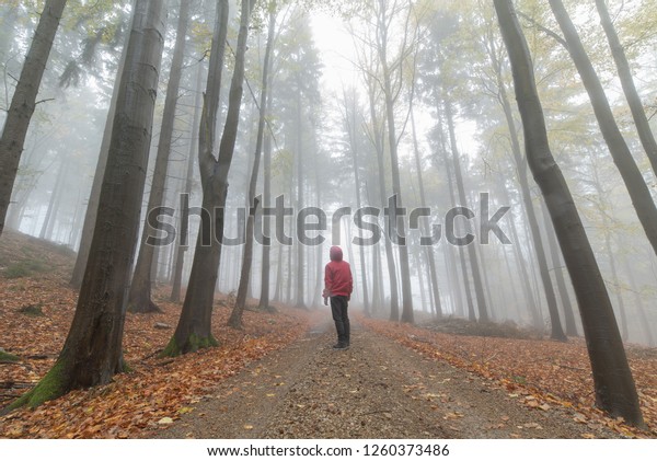 Man Foggy Path Autumn Fantasy Forest Stock Photo Edit Now