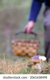 Man Foraging For Mushrooms In The Bush With Basket And Straw