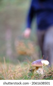 Man Foraging For Mushrooms In The Bush With Basket And Straw