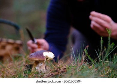 Man Foraging For Mushrooms In The Bush With Basket And Straw