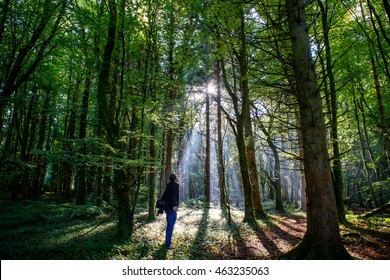 Man In The Forest