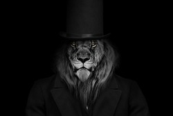 Man In The Form Of A Lion , The Lion Person , Animal Face Isolated Black White