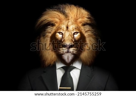 Man in the form of a Lion with Suit and tie , The lion person , animal face isolated black	
