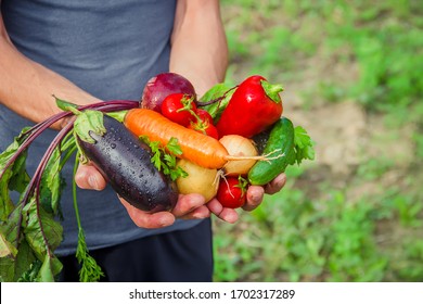A man in the garden with vegetables in his hands. Selective focus. nature.