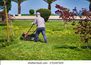 Man gardener mows grass with a lawn mower in a city park