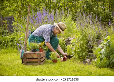 Man Gardening Kneeling Planting Spade