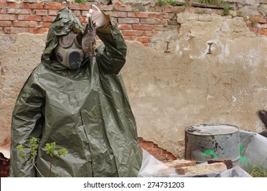 Man with gas mask and green military  clothes  explores  dead bird after chemical disaster. 