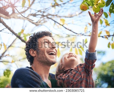 Man with girl child in garden, picking from apple tree and happy outdoor, love and family together in orchard. Father spending quality time with young daughter on farm, fruit and happiness in nature