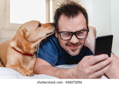 Man with glasses in blue shirt laying on the bed with the dog and using smart phone.