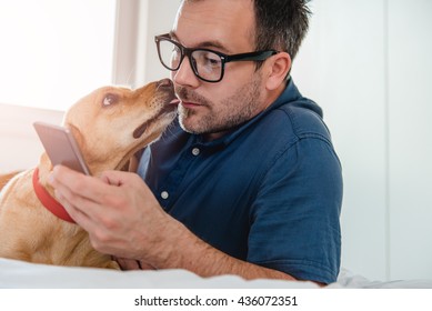 Man With Glasses In Blue Shirt Laying On The Bed With The Dog And Using Smart Phone.