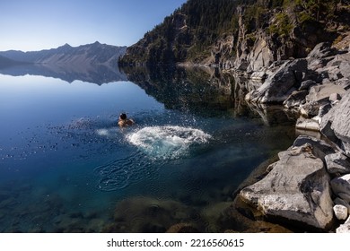 Man Going In For A Swim In Crater Lake NP Oregon In A Beautiful Calm Afternoon, The Cleetwood Cove Trail Leads To The Shore And It Is One Of The Only Places Where Swimming In Allowed.