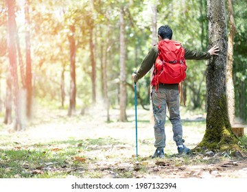 A Man In Green Long Sleeve T-shirt And Comouflage Pants Hilking Among The Wood Hoding Hilking Pole And Carryed Red Bag Pack Put Hand At Big Tree. Outdoor Activity For Adventure Person.