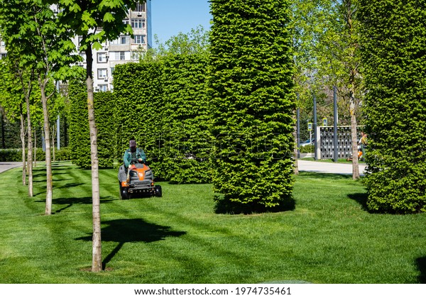 Man in green overalls mows the lawn on orange\
Husqvarna lawn-mower tractor. Public landscape city park of\
Krasnodar or Galitsky Park. Close-up. Sunny morning. Krasnodar,\
Russia - May 05, 2021