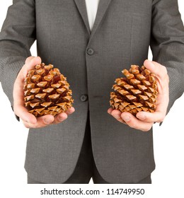 Man In Grey Suit Is Holding Two Pine Cones, Isolated