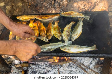 Man Grilling Fish On The Fire Out On The Open, Selective Focus