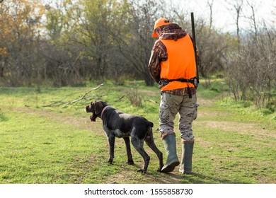 A Man With A Gun In His Hands And An Orange Vest On A Pheasant Hunt In A Wooded Area In Cloudy Weather. Hunter With Dogs In Search Of Game.