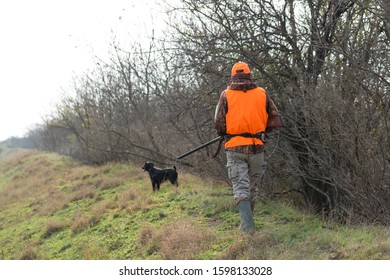 A Man With A Gun In His Hands And An Orange Vest On A Pheasant Hunt In A Wooded Area In Cloudy Weather. Hunter With Dogs In Search Of Game.