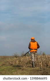 A man with a gun in his hands and an orange vest on a pheasant hunt in a wooded area in cloudy weather. Hunter search of game.