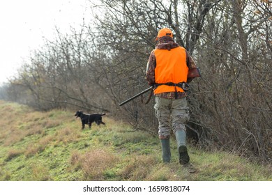 A Man With A Gun In His Hands And An Orange Vest On A Pheasant Hunt In A Wooded Area In Cloudy Weather. Hunter With Dogs In Search Of Game.