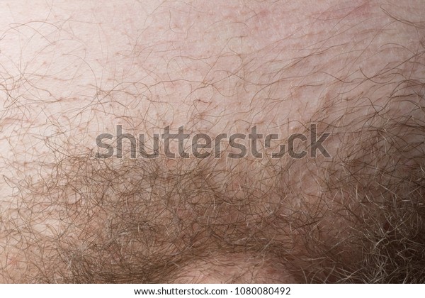 Man Haircut Pubic Hair Closeup Concept : стоковая фотография (редактировать...