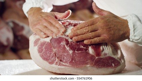 A man in a ham in Parma in Italy controls the curing of hams after having branded and salted: ham of excellent quality origin. Food concept, tradition, Italy, Italian style, ham.