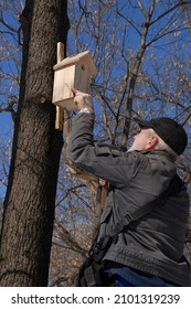 A Man With A Hammer In His Hands Attaches A Birdhouse High Up In A Tree. Nature Preservation. Ecology Concept. Sunny Day, Blue Sky.