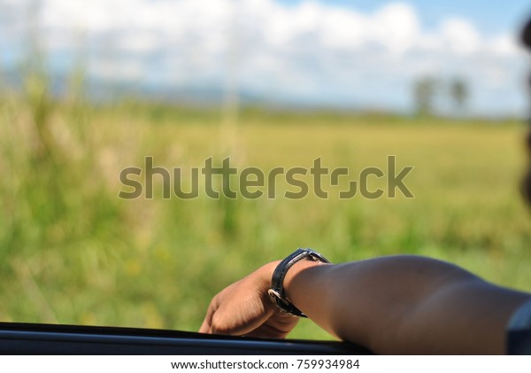 man hand in car\
with green nature\
background