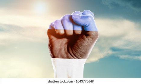 Man hand fist of Estonia flag painted