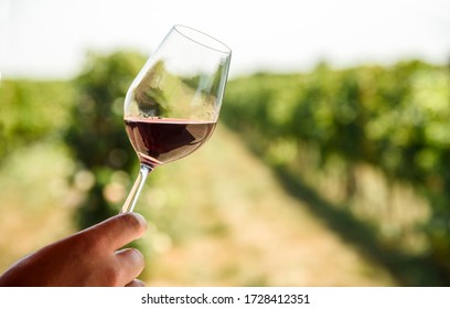 Man hand holding glass of red wine in vineyard field. Wine tasting in outdoor winery restaurant travel tour. Grape production and wine making concept.