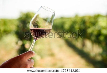 Man hand holding glass of red wine in vineyard field. Wine tasting in outdoor winery restaurant travel tour. Grape production and wine making concept.
 Сток-фото © 
