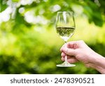 Man hand holding a glass of white wine in a garden at sunset. Alcoholic drinks. White wine in a glass. Warm evenings. Drinking wine in nature.
