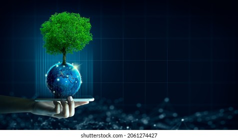 Man Hand Holding Smartphone With Technology Economic. Tree Growing On Earth And Wireframe Background. Green Computing, Green IT, Csr, And IT Ethics Concept.