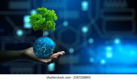 Man hand holding Tree on digital ball with technological convergence blue background. Green computing, csr, IT ethics, Nature technology interaction, and Environmental friendly. - Shutterstock ID 2187258893