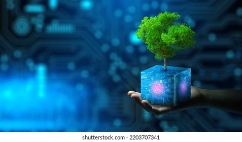 Man Hand Holding Tree On Digital Cube With Technological Convergence Blue Background. Green Computing, Csr, IT Ethics, Nature Technology Interaction, And Environmental Friendly.