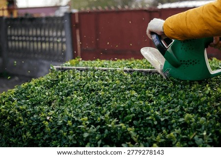 Man hand holding and using hedge trimmer machine for bush trimming.