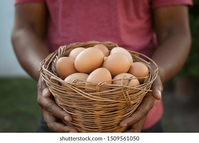 Man hand holding wire basket of fresh chicken eggs. Closeup of african american hands showing eggs in basket.