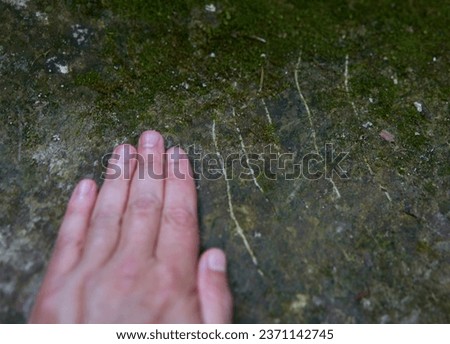 Man of a hand near the claw marks of a grizzly bear on a rock