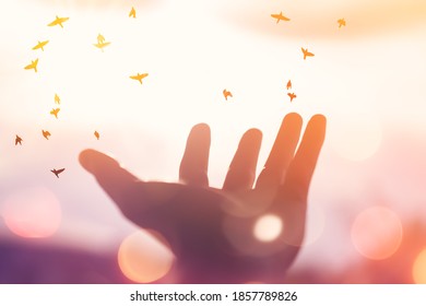 Man hand open with birds flying on sunset sky background. Pastel color style. - Shutterstock ID 1857789826