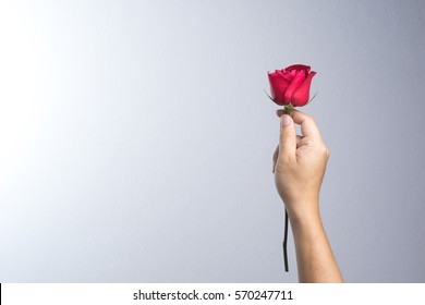 A Man Hand With Red Rose Flower On White Background