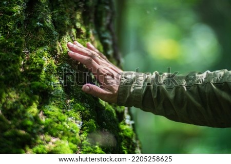 Man hand touch the tree trunk close-up. Bark wood.Caring for the environment. The ecology the concept of saving the world and love nature by human.