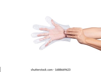 Man Hand Wearing Disposable Plastic Glove Isolated On White Background.Multipurpose Glove.Protect Hand.sanitary Food Contact Gloves