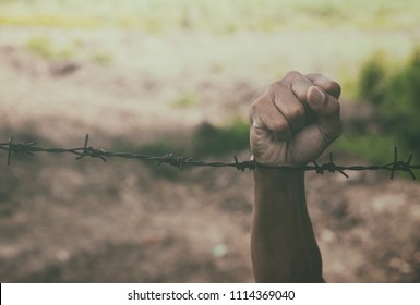 man hands hold the rusty sharp bare wire with hope longing,Human rights concept.