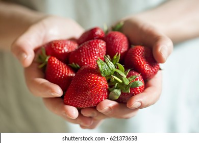 Man hands holding fresh strawberries - Powered by Shutterstock