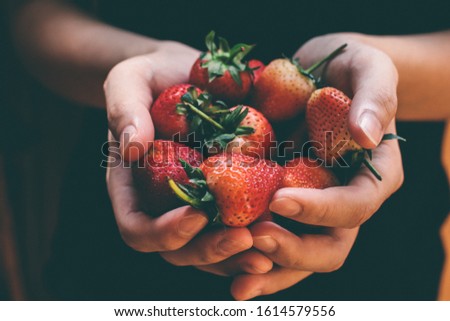 Similar – Woman holds strawberries in her hands